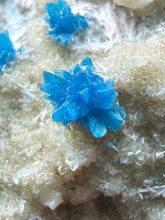 Load image into Gallery viewer, Rare Electric Blue Pentagonite on Druzy Matrix – Collector Mineral Specimen | India

