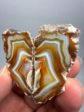 Load image into Gallery viewer, High-Grade Indonesian Sumatra Agate Pair – Vibrant Banded Chalcedony with Rich Color Zoning | Ethical Lapidary &amp; Collector Display Specimens
