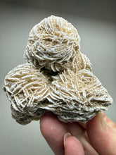 Load image into Gallery viewer, Desert Rose Selenite (Gypsum) — Mineral Display Specimen | Mexico
