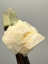 Load image into Gallery viewer, Green Cap Stak Nala Tourmaline with Cleavelandite – Haramosh Mountains, Pakistan | Thumbnail Specimen
