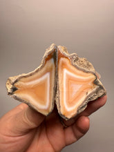 Load image into Gallery viewer, High-Grade Indonesian Sumatra Agate Pair – Vibrant Banded Chalcedony with Rich Color Zoning | Ethical Lapidary &amp; Collector Display Specimens
