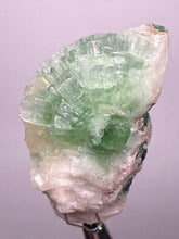 Load image into Gallery viewer, Green Radial “Disco Ball” Apophyllite | Maharashtra, India
