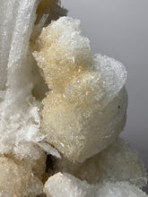 Load image into Gallery viewer, Moroccan Ram’s Horn Selenite (Gypsum) Crystal Display Specimen
