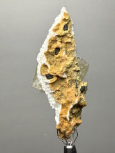 Load image into Gallery viewer, Rare Druzy Golden “Diamond” Calcite on Zeolite Matrix — Maharashtra, India | Collector Cabinet Specimen
