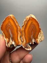 Load image into Gallery viewer, High-Grade Indonesian Sumatra Agate Pair – Vibrant Banded Chalcedony with Rich Color Zoning | Ethical Lapidary &amp; Collector Display Specimens
