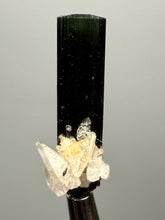Load image into Gallery viewer, Dark Green Cap Stak Nala Tourmaline and Cleavelandite – Haramosh Mountains, Pakistan | Thumbnail Specimen
