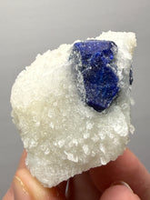Load image into Gallery viewer, Afghan Lazurite Specimen | Deep Blue Lapis-Grade Crystal on Matrix | Collector Display Mineral
