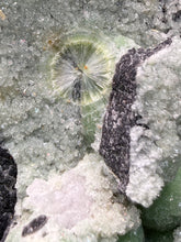 Load image into Gallery viewer, High-Grade Green Wavellite Collectors Specimen - Radiating Botryoidal Crystal Formation - Arkansas, USA
