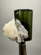 Load image into Gallery viewer, Dark Green Stak Nala Tourmaline and Cleavelandite – Haramosh Mountains, Pakistan | Thumbnail Specimen
