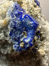 Load image into Gallery viewer, Afghanite &amp; Lazurite on Matrix Collector Display Specimen | Badakhshan Region, Afghanistan
