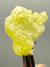 Load image into Gallery viewer, Vibrant Yellow Brucite Thumbnail Mineral Specimen | Collector Crystal from Killa Saifullah District in Balochistan Province, Pakistan
