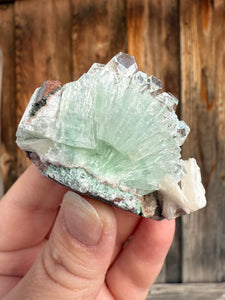 Light Mint Green Radial (Disco Ball) Apophyllite + Stilbite • Maharashtra, India