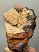 Load image into Gallery viewer, Chalcedony Quartz Rose Agate Collector Mineral Specimen – Morocco
