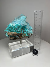 Load image into Gallery viewer, Chrysocolla Druzy Botryoidal Stalactites Pseudomorph after Malachite on Matrix from Congo • Fine Mineral Collector’s Showpiece
