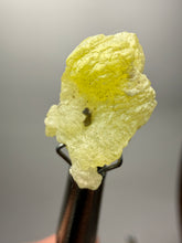 Load image into Gallery viewer, Vibrant Yellow Brucite Thumbnail Mineral Specimen | Collector Crystal from Killa Saifullah District in Balochistan Province, Pakistan
