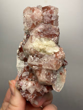 Load image into Gallery viewer, Rare Red + Green Apophyllite Crystal Cluster – High Grade Collector Mineral Specimen | India
