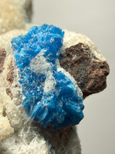 Load image into Gallery viewer, Rare Electric Blue Cavansite on Druzy Matrix – Collector Mineral Specimen | India
