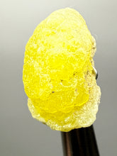Load image into Gallery viewer, Vibrant Yellow Brucite Thumbnail Mineral Specimen | Collector Crystal from Killa Saifullah District in Balochistan Province, Pakistan
