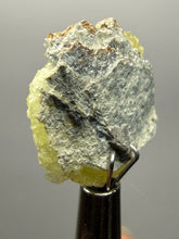 Load image into Gallery viewer, Vibrant Yellow Brucite Thumbnail Mineral Specimen | Collector Crystal from Killa Saifullah District in Balochistan Province, Pakistan
