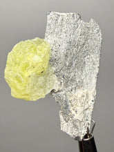 Load image into Gallery viewer, Vibrant Yellow Brucite Thumbnail Mineral Specimen | Collector Crystal from Killa Saifullah District in Balochistan Province, Pakistan
