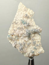Load image into Gallery viewer, Blue-Green Chrysocolla in Botryoidal Chalcedony Cabinet Specimen | Indonesia
