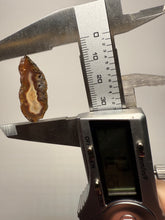 Load image into Gallery viewer, Polished Malawi Agate Half – African Banded Agate Display Specimen
