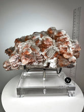 Load image into Gallery viewer, Red Phantom Pagoda Flower Pedal Calcite from Hubei Province, China • High Grade High Shine • Stand Included • Mineral Collector’s Showpiece
