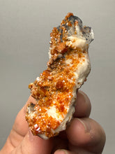 Load image into Gallery viewer, Natural Vanadinite on Matrix | Collector Mineral Specimen | Morocco
