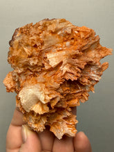 Load image into Gallery viewer, Chalcedony Quartz Rose Agate Collector Mineral Specimen – Morocco

