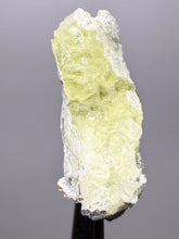 Load image into Gallery viewer, Vibrant Yellow Brucite Thumbnail Mineral Specimen | Collector Crystal from Killa Saifullah District in Balochistan Province, Pakistan
