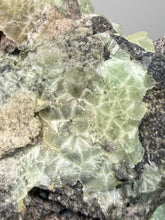 Load image into Gallery viewer, High-Grade Green Wavellite Collectors Specimen - Radiating Botryoidal Crystal Formation - Arkansas, USA
