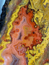 Load image into Gallery viewer, Pink Yellow Red Moroccan Agate | High Atlas Mountains •UNPOLISHED LAPIDARY  SLAB
