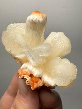 Load image into Gallery viewer, Cream Stilbite Flower on
Orange Heulandite Zeolite Cluster – India (Collector Mineral Specimen)
