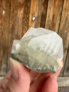 Large Sage Green Garden Apophyllite • Maharashtra, India