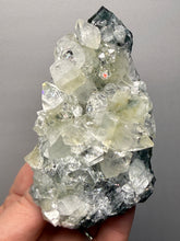 Load image into Gallery viewer, High-Grade Green Apophyllite on Black Chalcedony – Deccan Traps, Maharashtra, India (Collector Cabinet Specimen)
