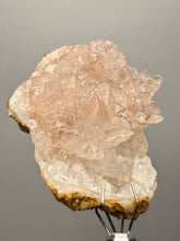 Load image into Gallery viewer, Pink &amp; Orange Druzy Quartz Flower Plate on Matrix— Tichka Massif, High Atlas, Morocco
