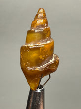 Load image into Gallery viewer, Agatized Gastropod Fossil Specimen | Morocco
