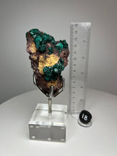 Load image into Gallery viewer, Dioptase Cluster from Congo • High Grade • Mineral Collector’s Specimen Showpiece
