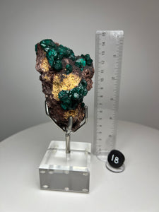 Dioptase Cluster from Congo • High Grade • Mineral Collector’s Specimen Showpiece