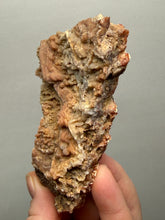 Load image into Gallery viewer, Chalcedony Quartz Rose Agate Collector Mineral Specimen – Morocco
