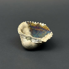 Load image into Gallery viewer, Bivalve (Pelecypoda) Fossil Sea Shell with Chalcopyrite | Mineralized Fossil Specimen | Indonesia
