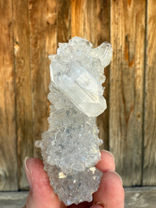 Clear Gem Apophyllite Encrusted Stalactite • Maharashtra, India