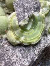 Load image into Gallery viewer, High-Grade Green Wavellite Collectors Specimen - Radiating Botryoidal Crystal Formation - Arkansas, USA

