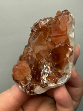 Load image into Gallery viewer, Rare Red Apophyllite + Druzy Red Stilbite Flowers — Deccan Traps, India
