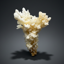 Load image into Gallery viewer, 3.7” High-Grade Flower Calcite Specimen | Wenshan Mine, Yunnan, China | Collector Mineral Display
