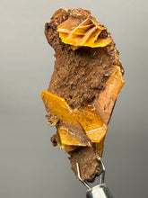 Load image into Gallery viewer, High-Grade Orange Wulfenite Collector Display Specimen | La Morita Mine, Chihuahua, Mexico
