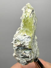 Load image into Gallery viewer, Vibrant Yellow Brucite Thumbnail Mineral Specimen | Collector Crystal from Killa Saifullah District in Balochistan Province, Pakistan
