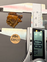 Load image into Gallery viewer, High-Grade Orange Wulfenite Collector Display Specimen | La Morita Mine, Chihuahua, Mexico
