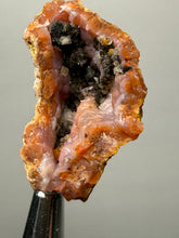 Load image into Gallery viewer, “Goblin Chalcedony” Pink and Red Druzy Botryoidal Stalactites — Tichka Massif, High Atlas, Morocco
