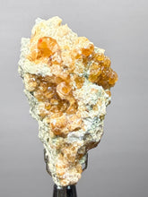Load image into Gallery viewer, Hessonite Garnet Cluster on Matrix – Natural Collector Specimen from Pakistan | High-Grade Orange-Red Garnet Crystals
